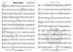 Bierle in da Sun von Oimara 