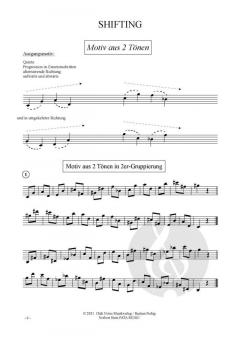 Shifting von Norbert Stein 