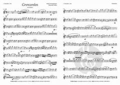 Grenzenlos von Maximillian Müller 