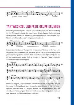 Dirigieren Plus von Christoph Schäfer 