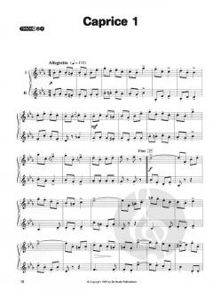 Irish Melodies for Flute von Joachim Johow 