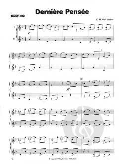 Irish Melodies for Flute von Joachim Johow 