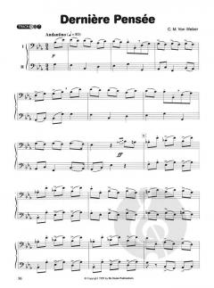 Irish Melodies for Flute von Joachim Johow 