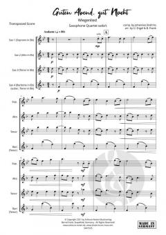 Guten Abend, Gut' Nacht von Johannes Brahms 