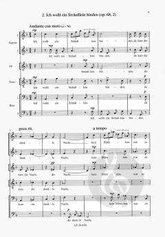 2 Lieder von Richard Strauss 