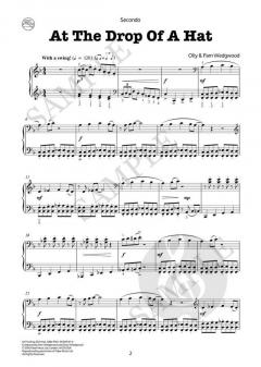 At the Drop of a Hat von Pam Wedgwood 