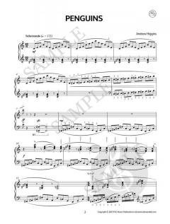 Birds Etudes-Tableaux von Andrew Higgins 