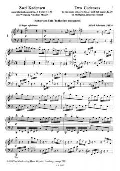 Cadenzas To Two Piano Concertos K39 and K503 von Wolfgang Amadeus Mozart 