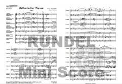 Böhmischer Traum von Norbert Gälle 