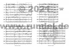 Böhmischer Traum von Norbert Gälle 