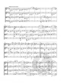 Streichquartett a-Moll op. 132 von Ludwig van Beethoven (Download) 