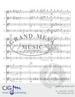 The Damsel & the Dragon von David A. Myers 