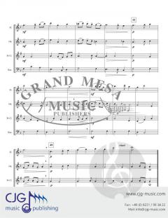 The Damsel & the Dragon von David A. Myers 