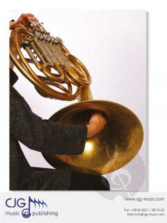 Making Music Matter 1 von Frank Ticheli 