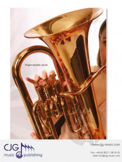 Making Music Matter 1 von Frank Ticheli 