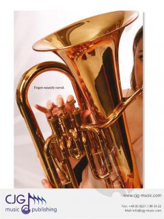 Making Music Matter 1 von Frank Ticheli 