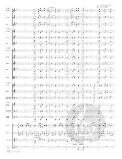 Highlights from The Lion King 