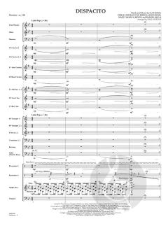 Despacito von Luis Fonsi 