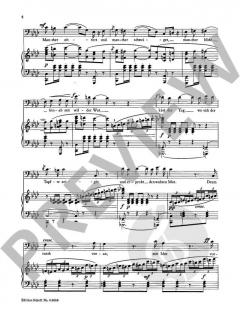 Auf in den Kampf, Torero! von Georges Bizet 