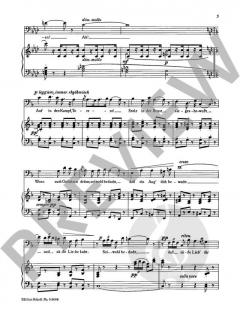 Auf in den Kampf, Torero! von Georges Bizet 