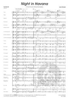 Night in Havana von Lars Ericsen 