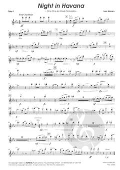 Night in Havana von Lars Ericsen 