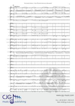 Wer hat die Liebe uns Herz gesenkt von Franz Lehár 