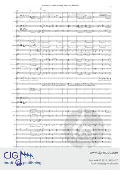 Meine Liebe, deine Liebe von Franz Lehár 