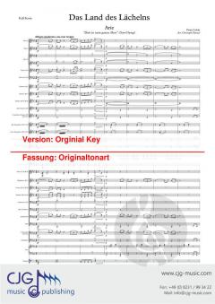 Dein ist mein ganzes Herz von Franz Lehár 