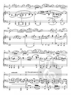 Dreamsong von Philip Sparke 