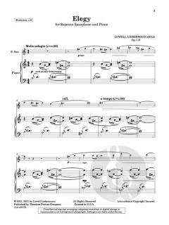 Elegy op. 119 von Lowell Liebermann 