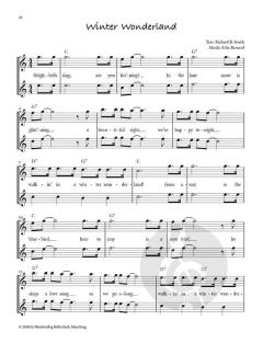 Altflötenweihnacht (mit Audio-Download) von Barbara Ertl 