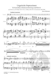 Ungarische Impressionen von Heinz Bethmann 