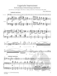 Ungarische Impressionen von Heinz Bethmann 