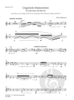 Ungarische Impressionen von Heinz Bethmann 