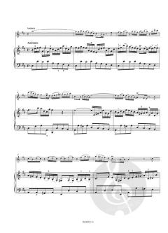 Sonate 1 h-moll BWV 1014 von Johann Sebastian Bach 