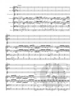 Sinfonie e-Moll Hob. I:44 von Joseph Haydn 