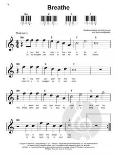 Super Easy Songbook: 4 Chord Songs 