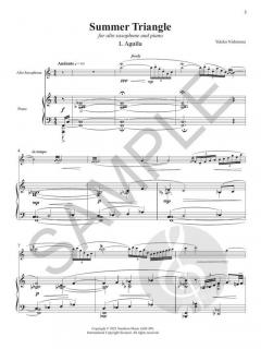 Summer Triangle von Yukiko Nishimura 