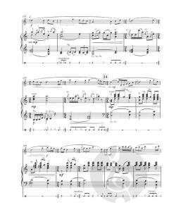 Konzert von Pēteris Vasks 