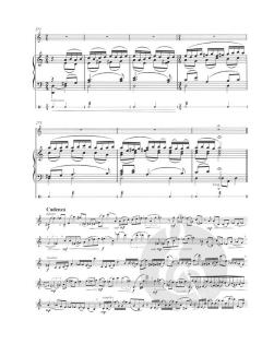 Konzert von Pēteris Vasks 