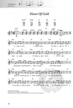 Das Rock & Pop Fetenbuch 2 für Alt und Jung 2 