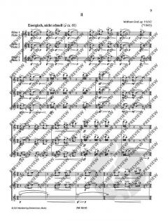 3 aulische Gesänge op. 150 von Wolfram Graf 