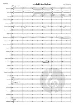 Avsked Från Vildgässen Version 1 von Britta Byström 