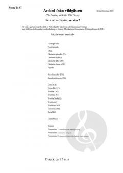 Avsked Från Vildgässen Version 2 von Britta Byström 