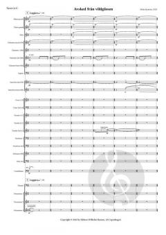 Avsked Från Vildgässen Version 2 von Britta Byström 