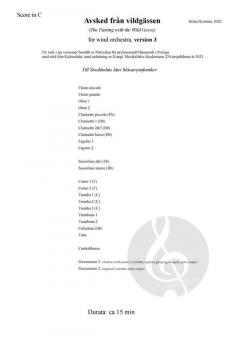 Avsked Från Vildgässen Version 3 von Britta Byström 