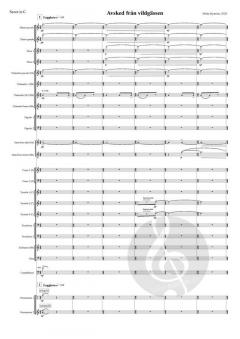 Avsked Från Vildgässen Version 3 von Britta Byström 