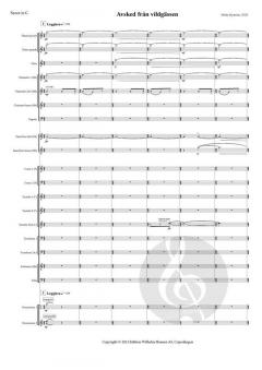 Avsked Från Vildgässen Version 4 von Britta Byström 