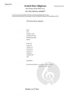 Avsked Från Vildgässen Version 5 von Britta Byström 